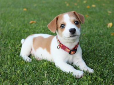 david-clarke-0h3Emf2YLKg-unsplash