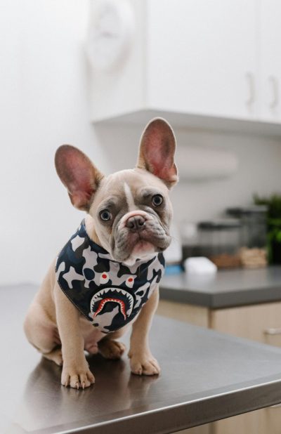 karsten-winegeart-loJL4ijUobg-unsplash